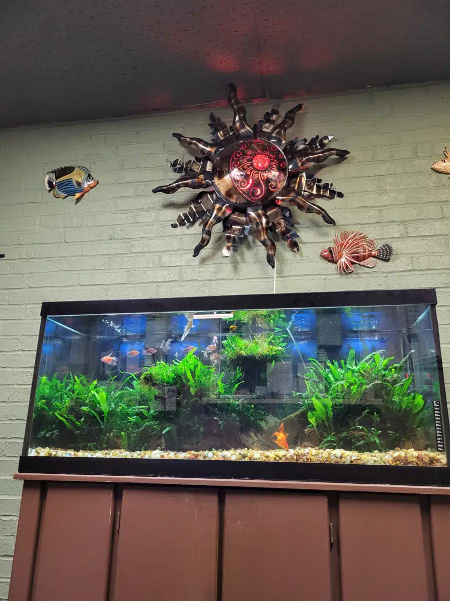 Active Recovery - Thumbnail 8