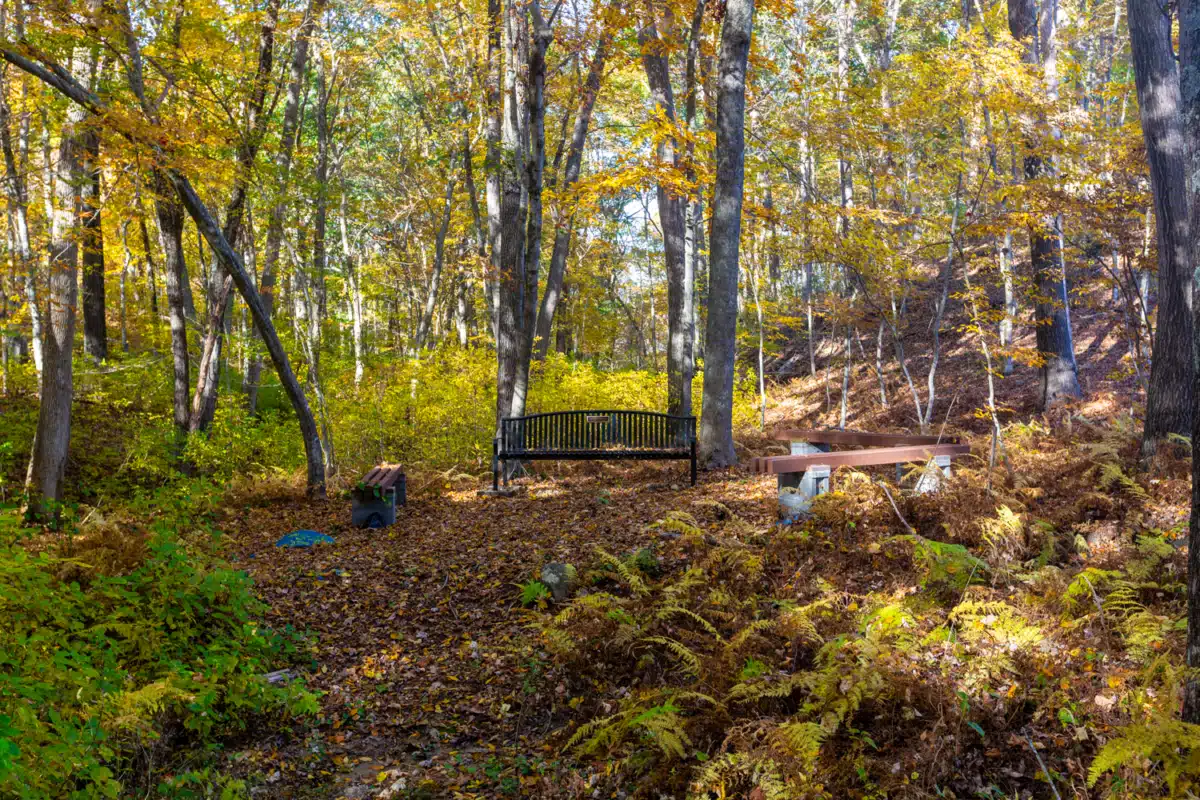 AdCare Rhode Island Inc - Thumbnail 10