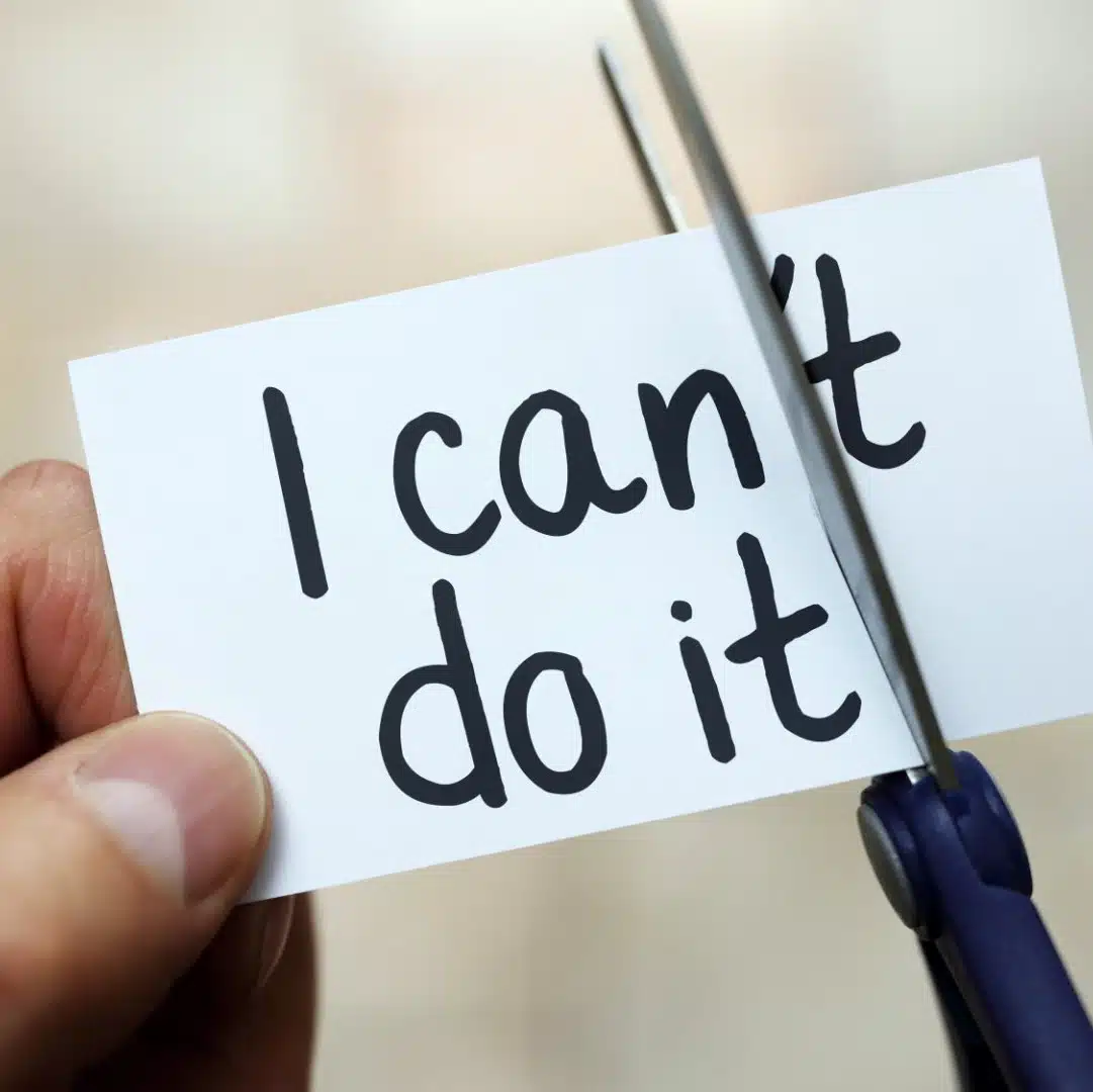 Adapt Programs - Thumbnail 4