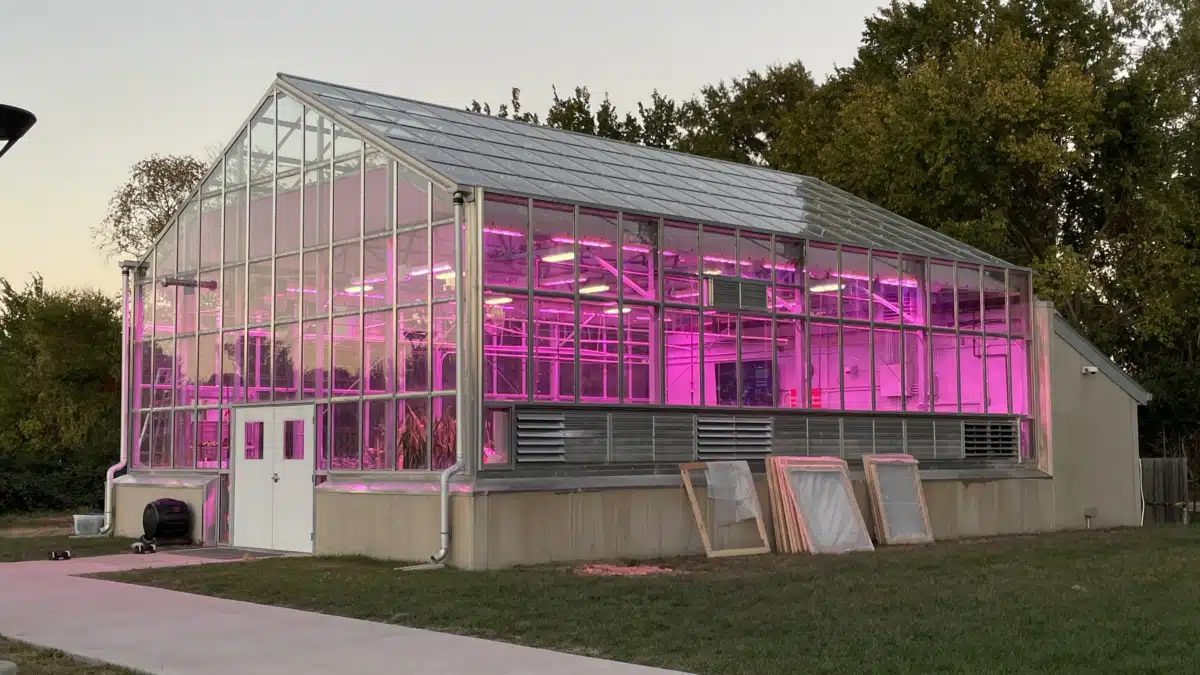 Add Csl Educ and Info Services (ACEIS) - Thumbnail 4