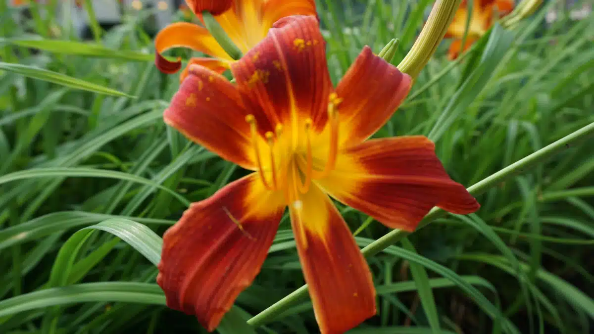 Addictions Crisis Center - Thumbnail 9