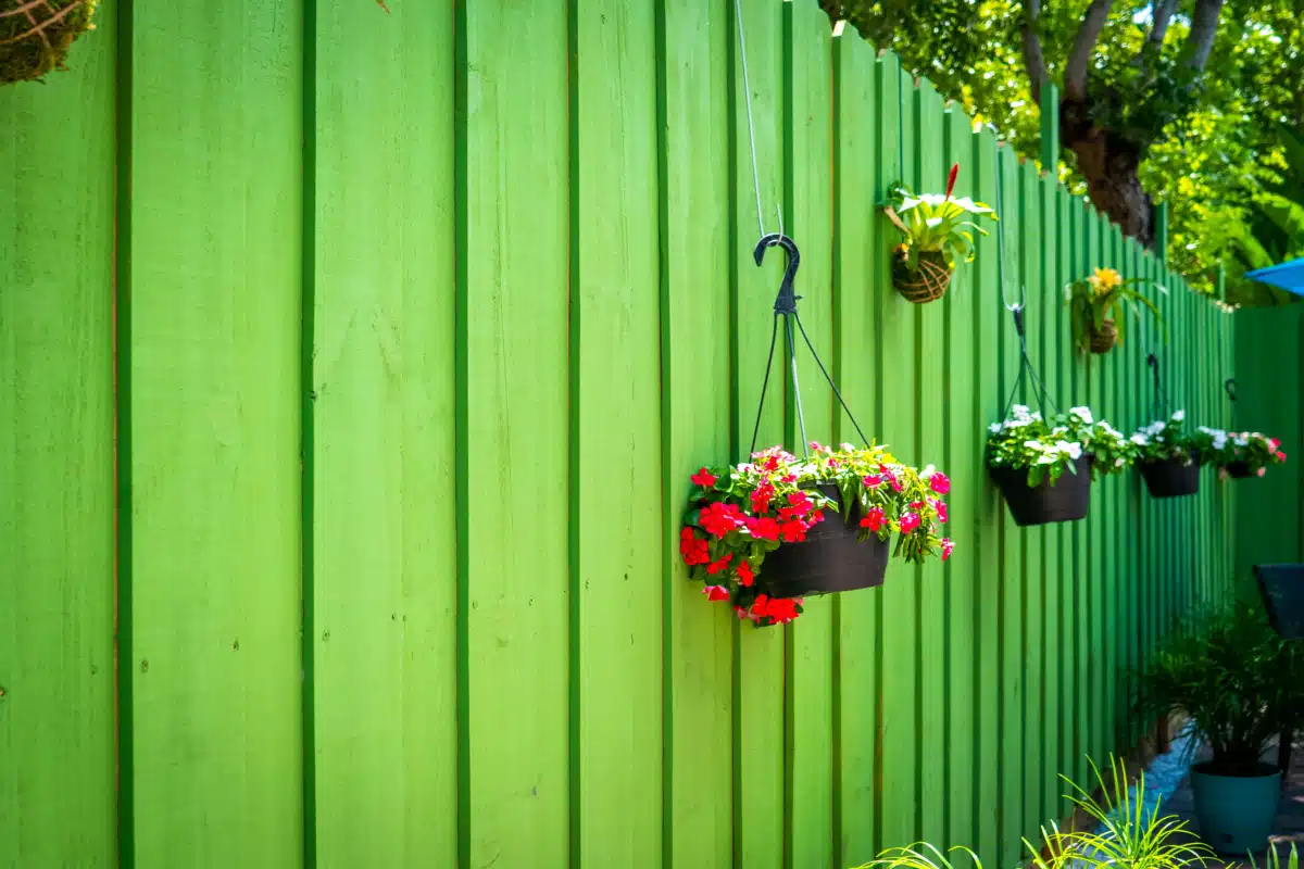 Aloha Detox Center LLC - Thumbnail 6