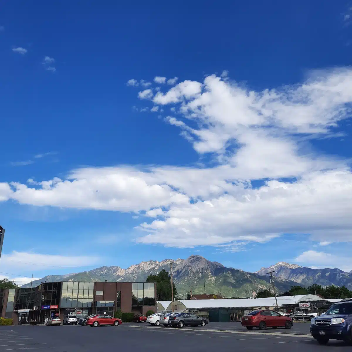 Alpha Counseling and Treatment Inc