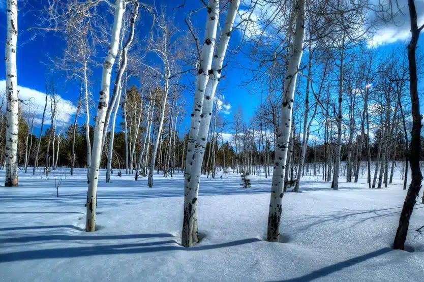 Alternative to Meds Center - Thumbnail 10