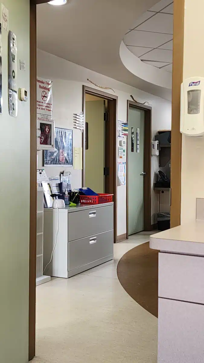 American Indian Health and - Thumbnail 4