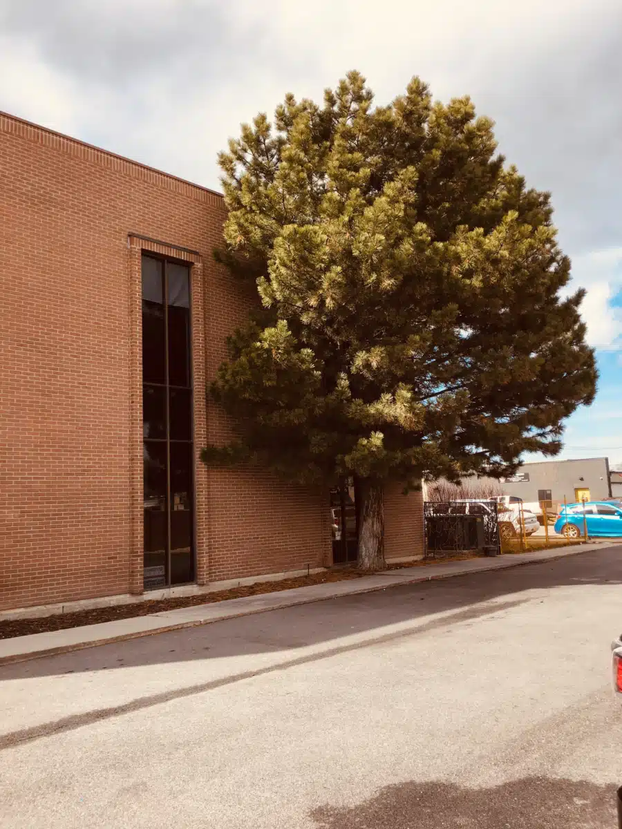 Anicka Counseling Center - Thumbnail 10