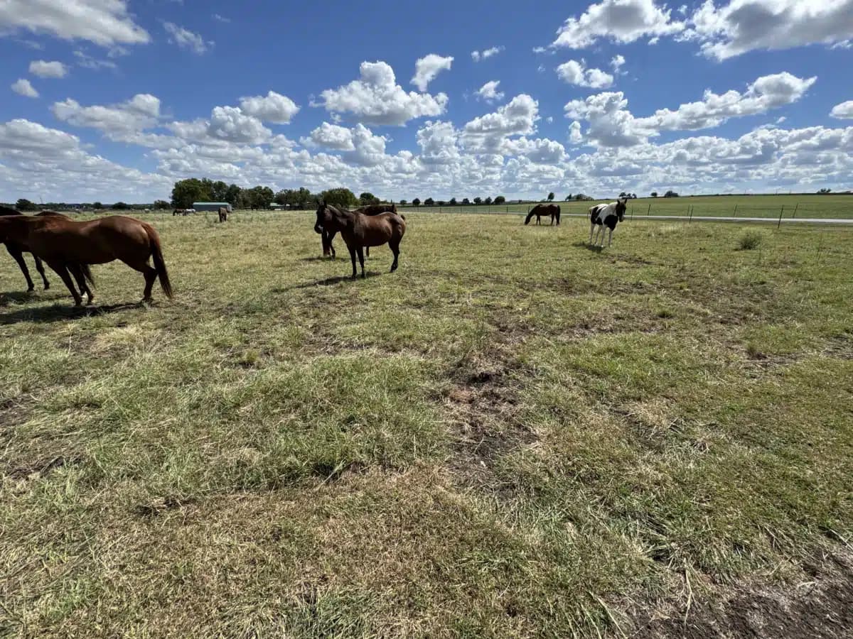 Arbor Behavioral Healthcare - Thumbnail 10