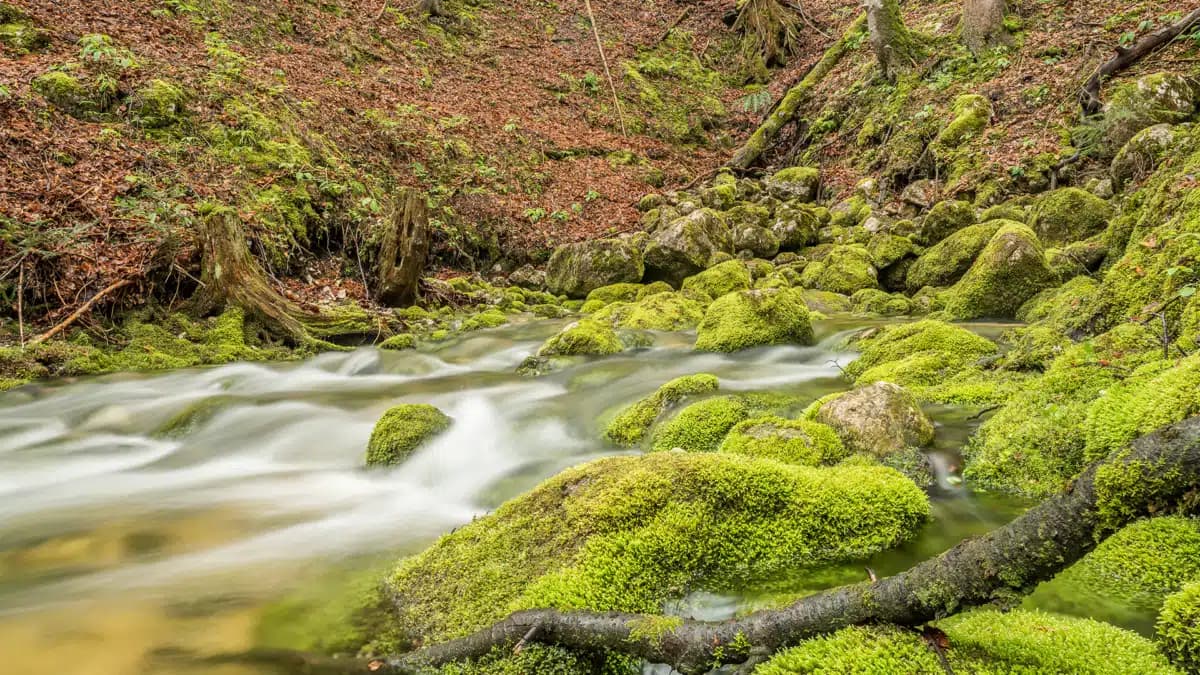 Arcadia Trails Integris Center for - Thumbnail 4