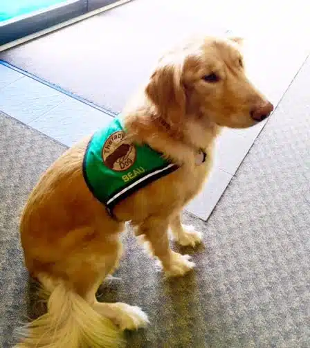 Athens Area Commencement Center - Preview