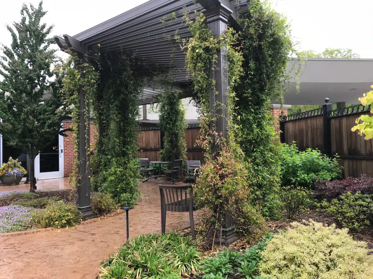 Atrium Health Mercy - Thumbnail 8