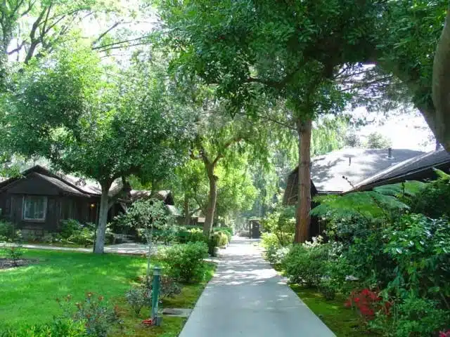 Aurora Las Encinas Hospital - Thumbnail 5