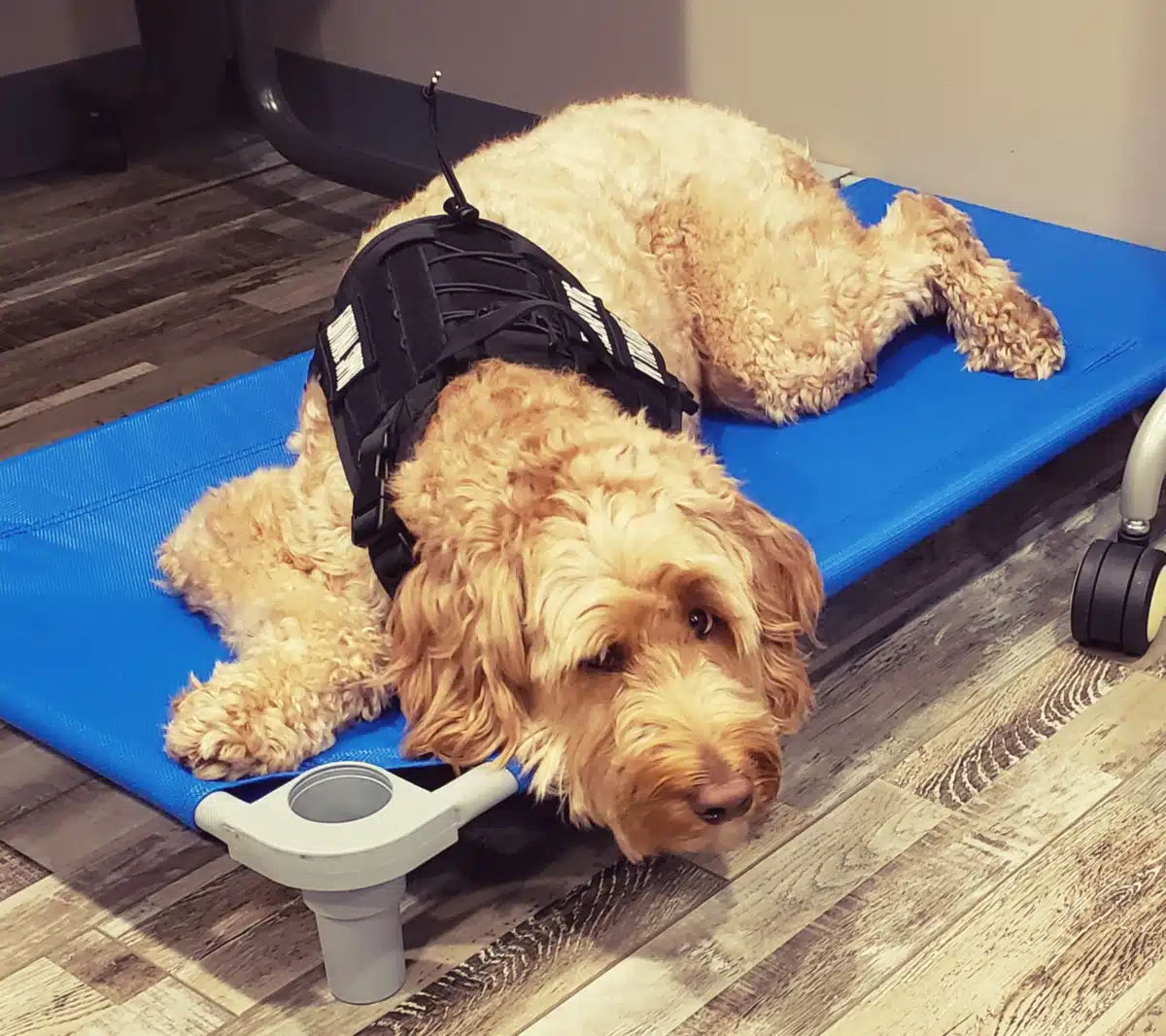 Basecamp Recovery Center - Thumbnail 8