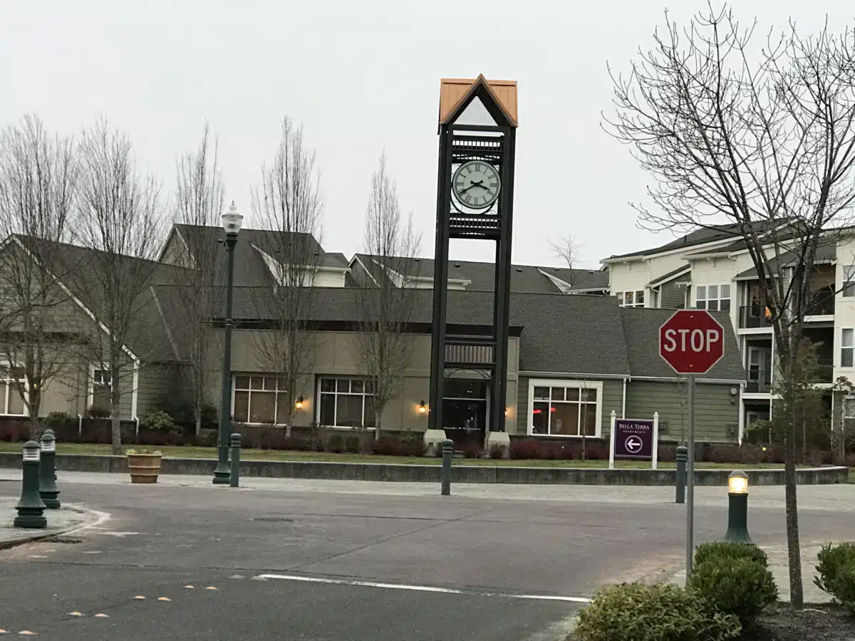 Basic Steps Mental Health SPC - Thumbnail 2