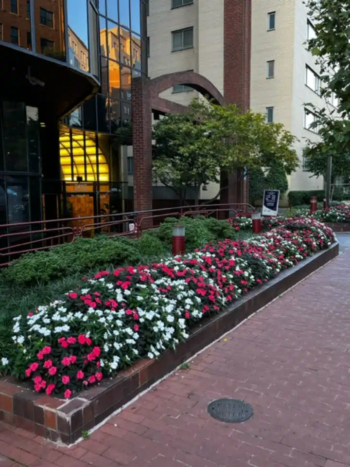 BayMark Health Services of West Virgin - Thumbnail 4