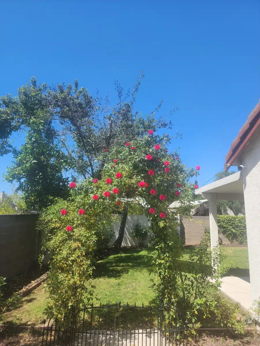 Bella Nirvana Center Inc - Thumbnail 5