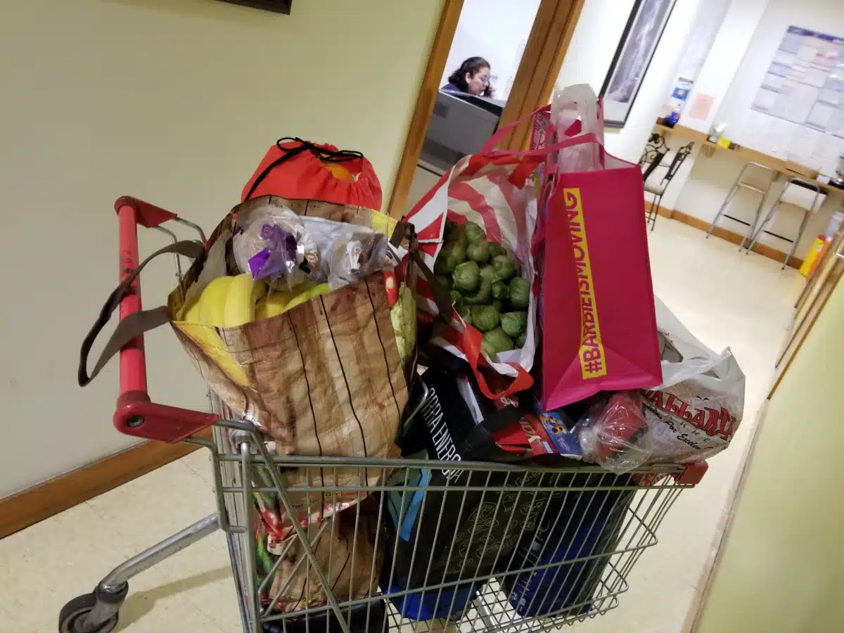 Bienestar Human Services - Thumbnail 2