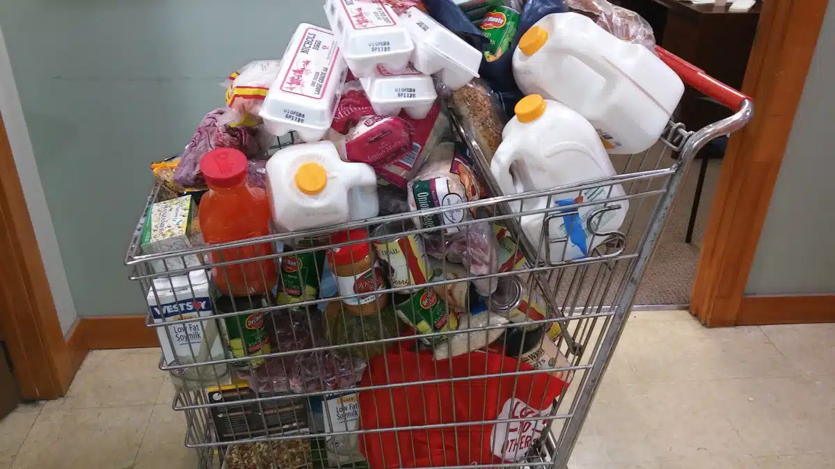 Bienestar Human Services - Thumbnail 5