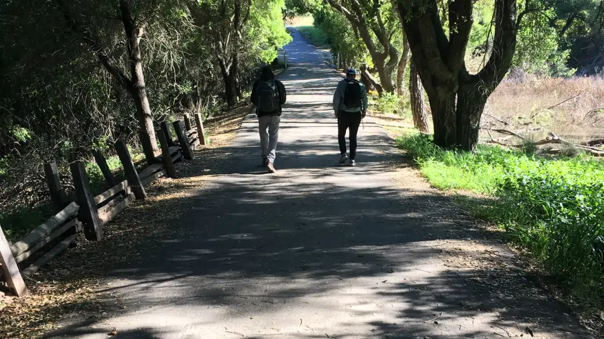 Blue Ridge Counseling Center PA