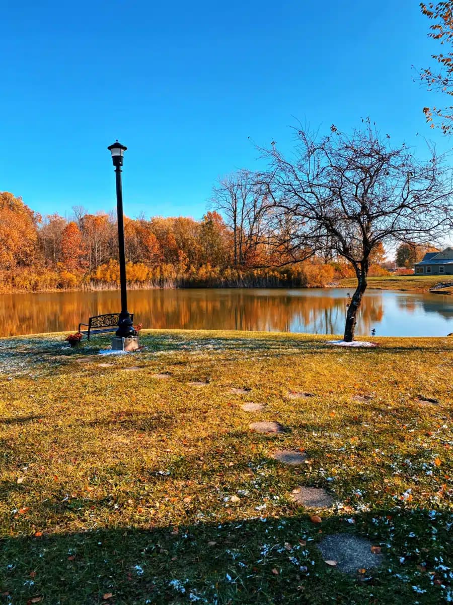 Bridges of Hope - Thumbnail 3