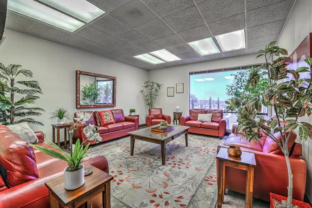 Bridges of San Diego - Preview