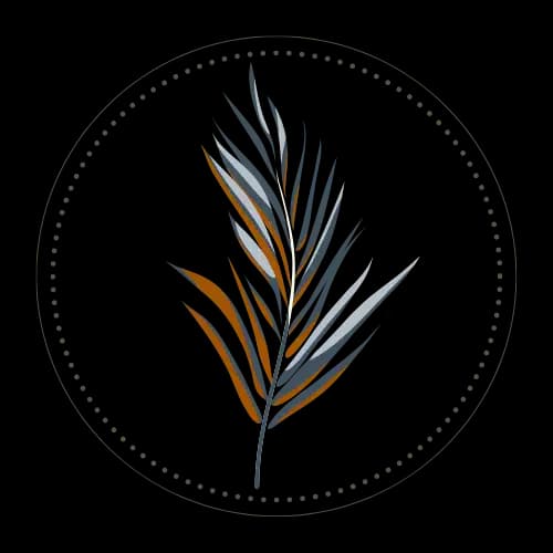 Calusa Recovery - Thumbnail 9