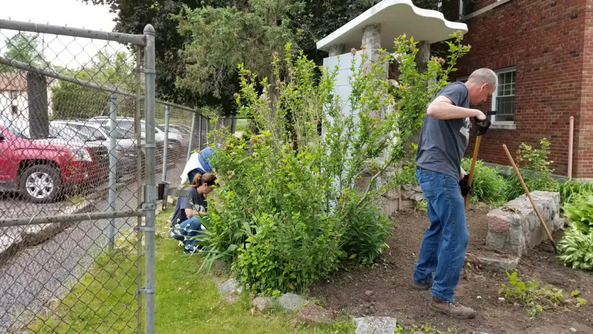 Catholic Charities of Shiawassee and - Thumbnail 2