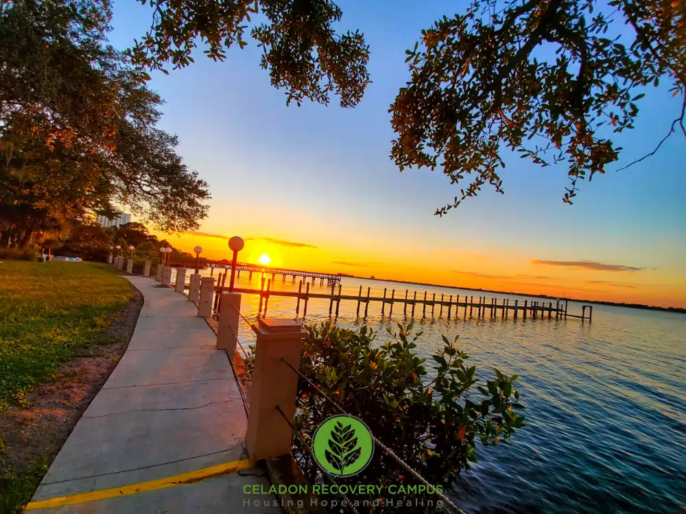 Celadon Recovery Center - Thumbnail 3