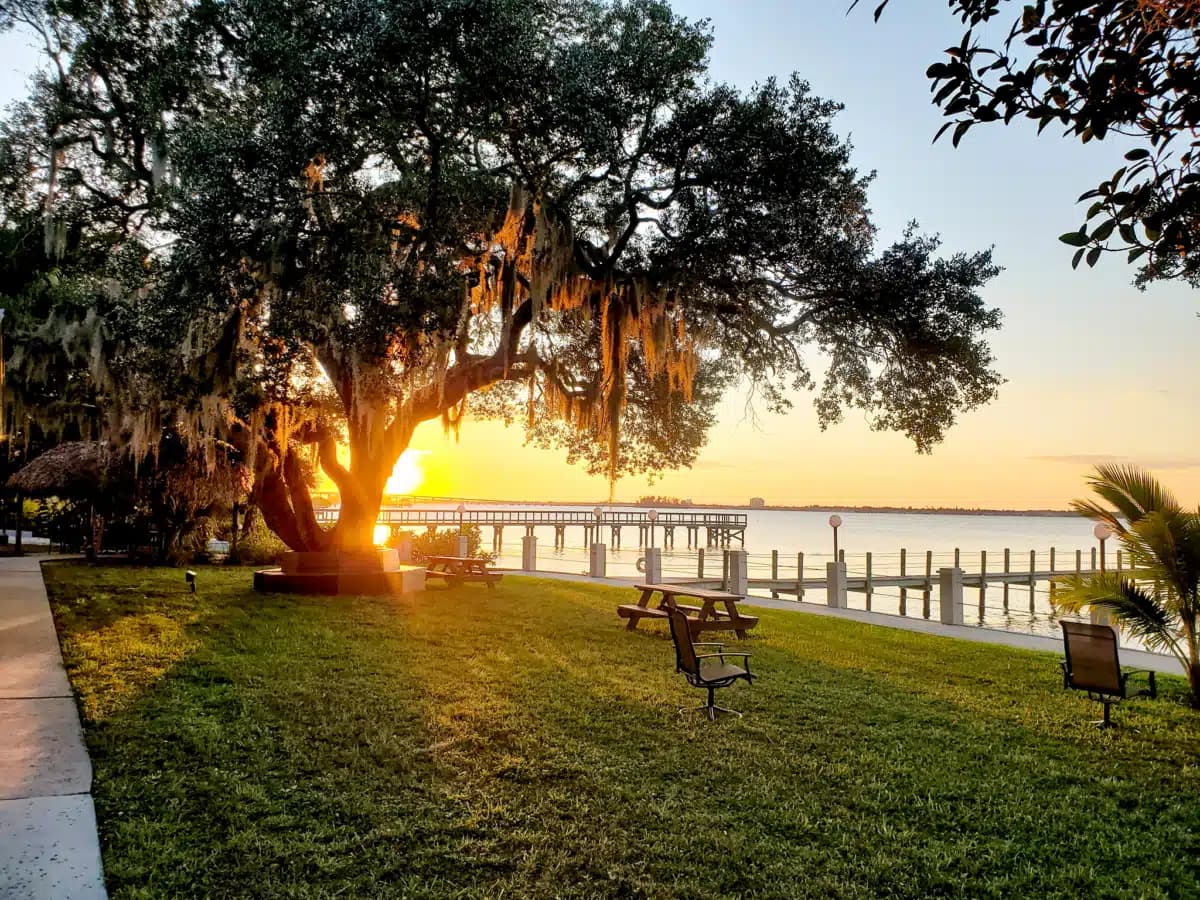 Celadon Recovery Outpatient Services