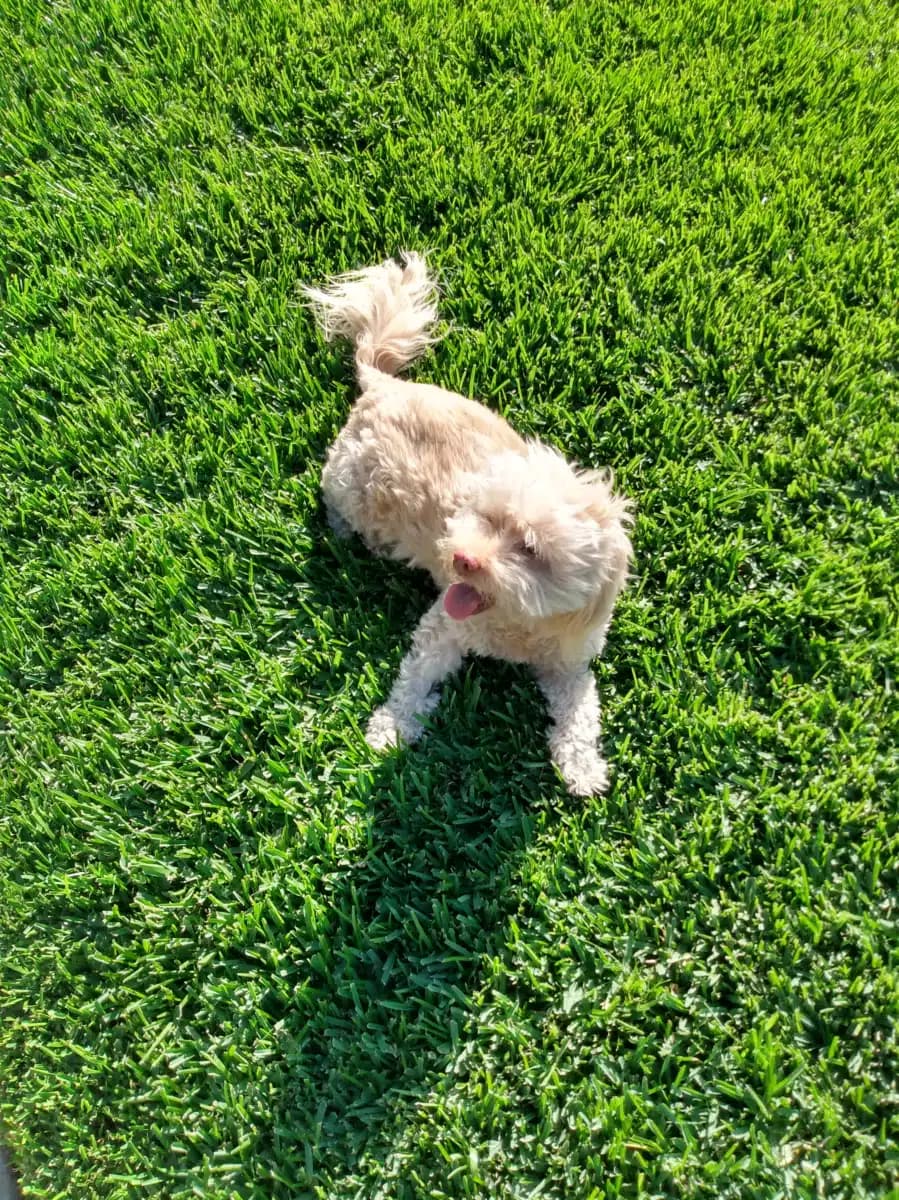 Chabad Residential - Thumbnail 5