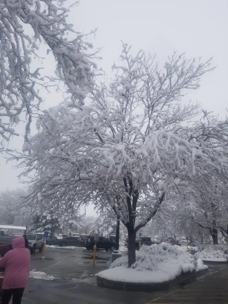 Cheyenne VA Healthcare System - Thumbnail 6