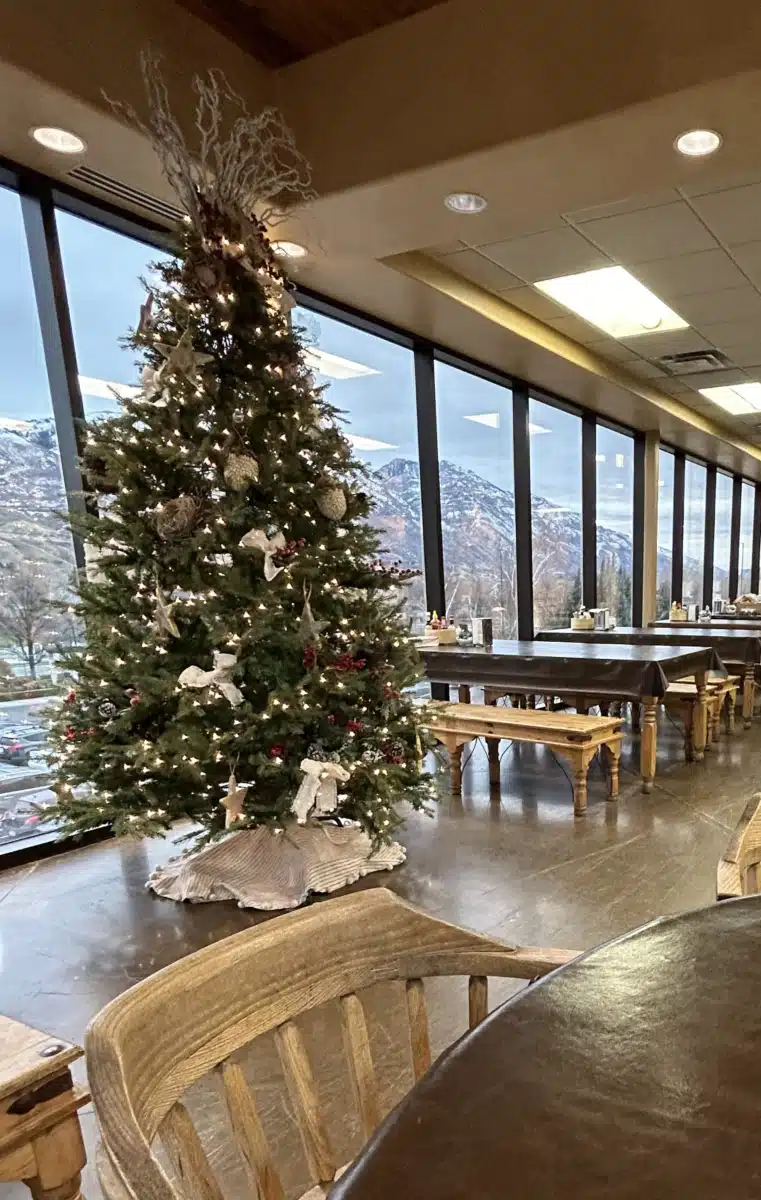 Cirque Lodge Studio - Thumbnail 8