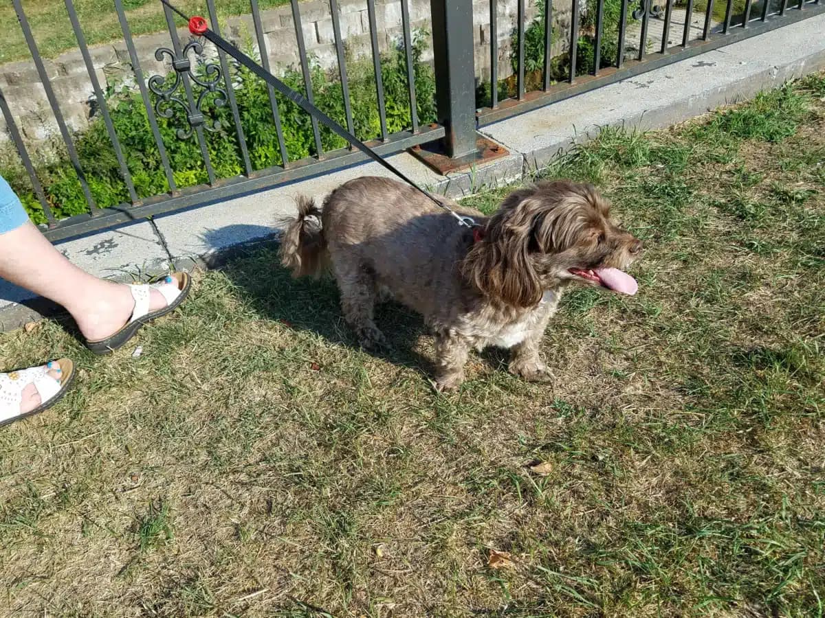 Clifton Springs Hosp Clinic - Thumbnail 2