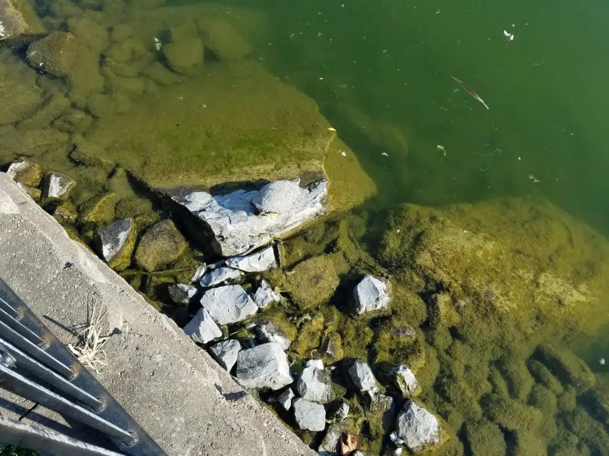 Clifton Springs Hosp Clinic - Thumbnail 9