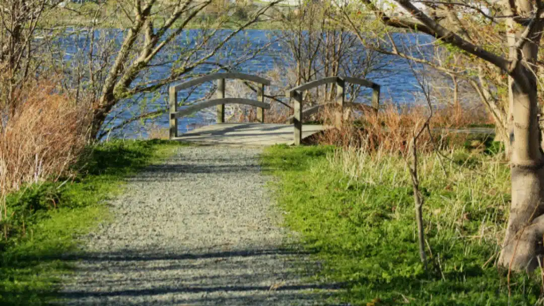 Club Recovery LLC - Thumbnail 5