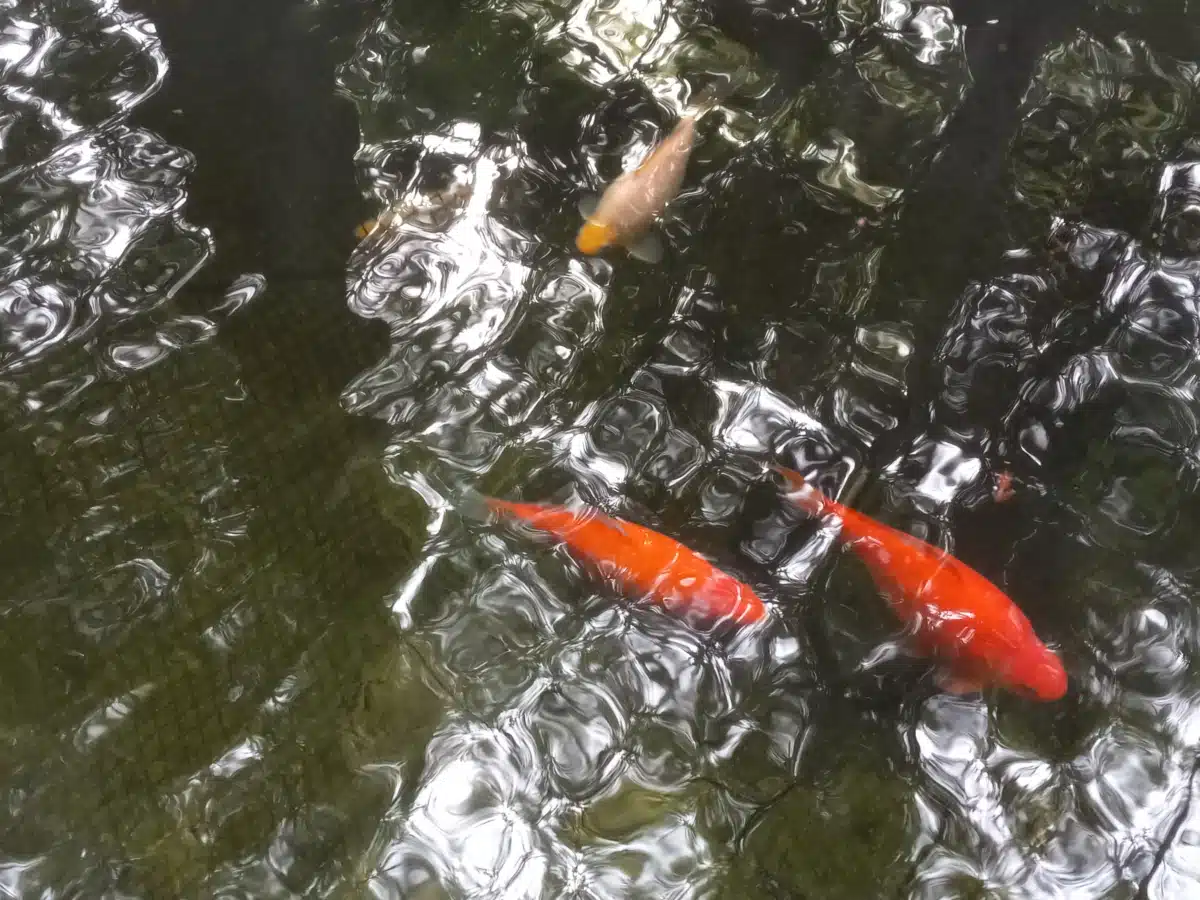 Columbia River Mental Health Services - Thumbnail 5