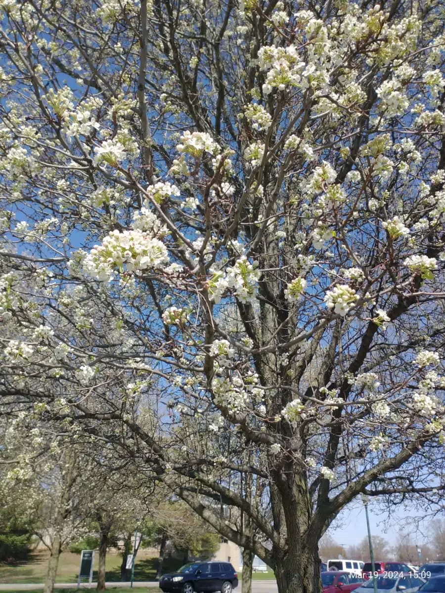 Columbus Regional Health - Thumbnail 4