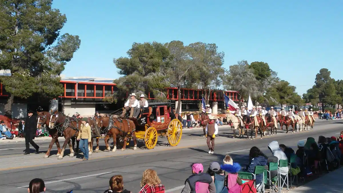 Community Partners Integrated - Thumbnail 10