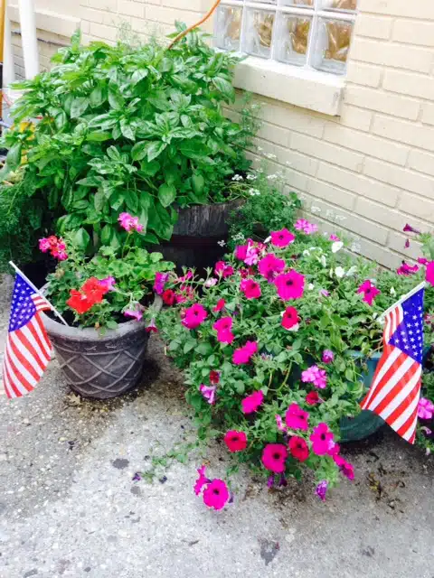 Community Psychiatric Institute - Thumbnail 7