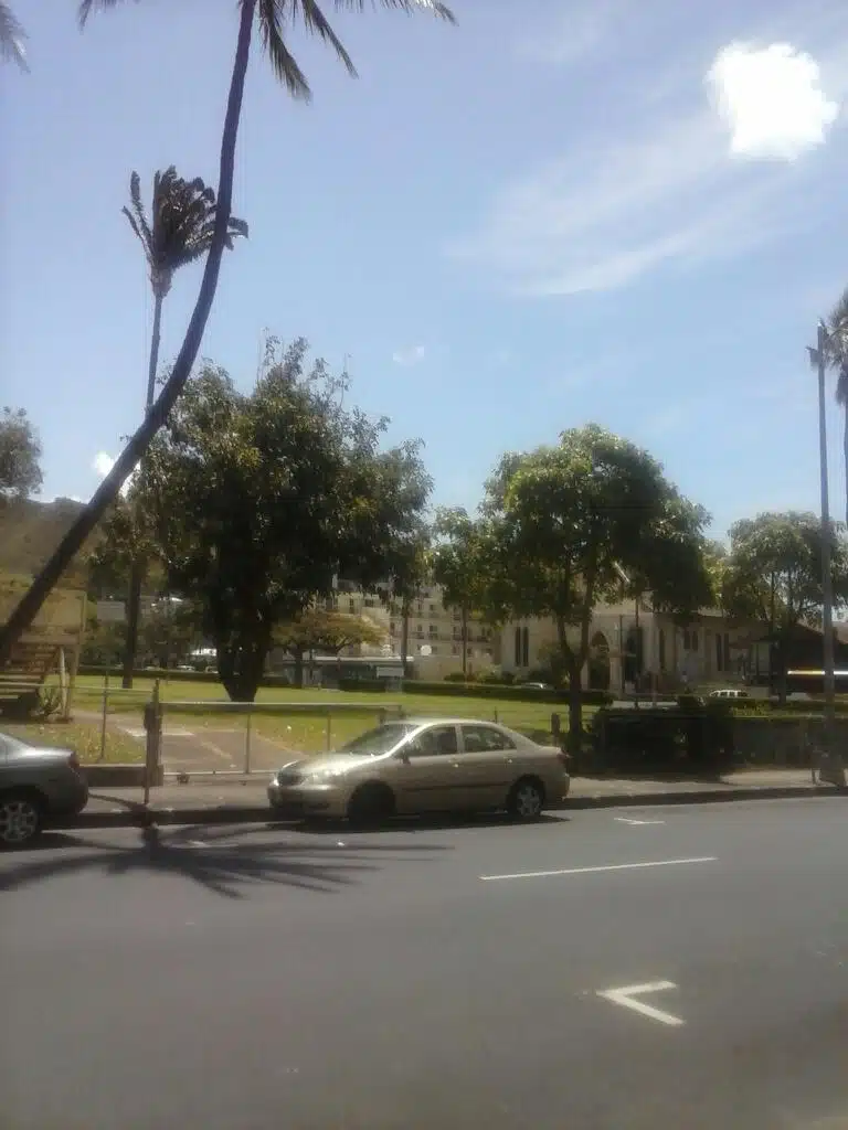 Comprehensive Health and Attitude - Thumbnail 3