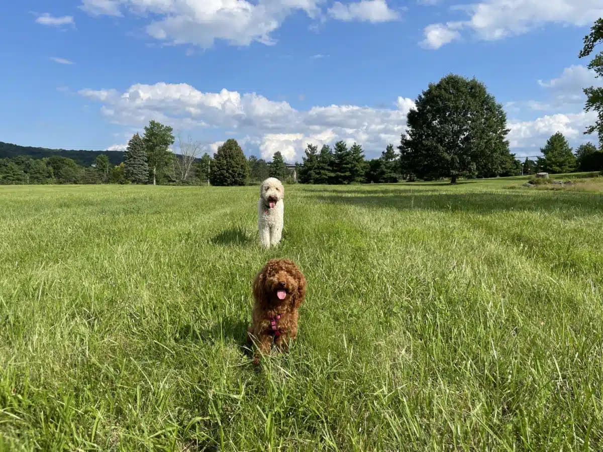 Connecticut Valley Hospital - Thumbnail 10