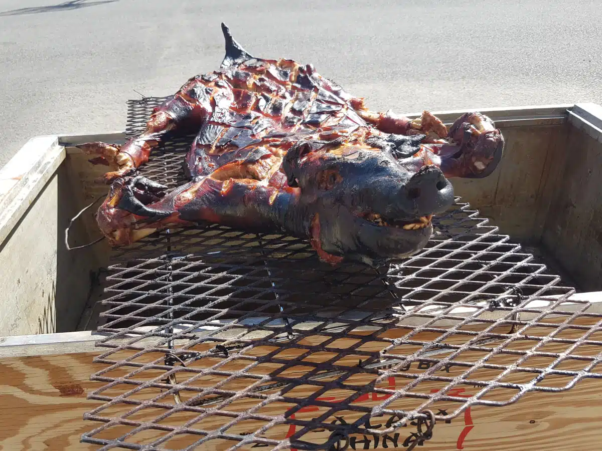 Copper River Native Association - Thumbnail 4