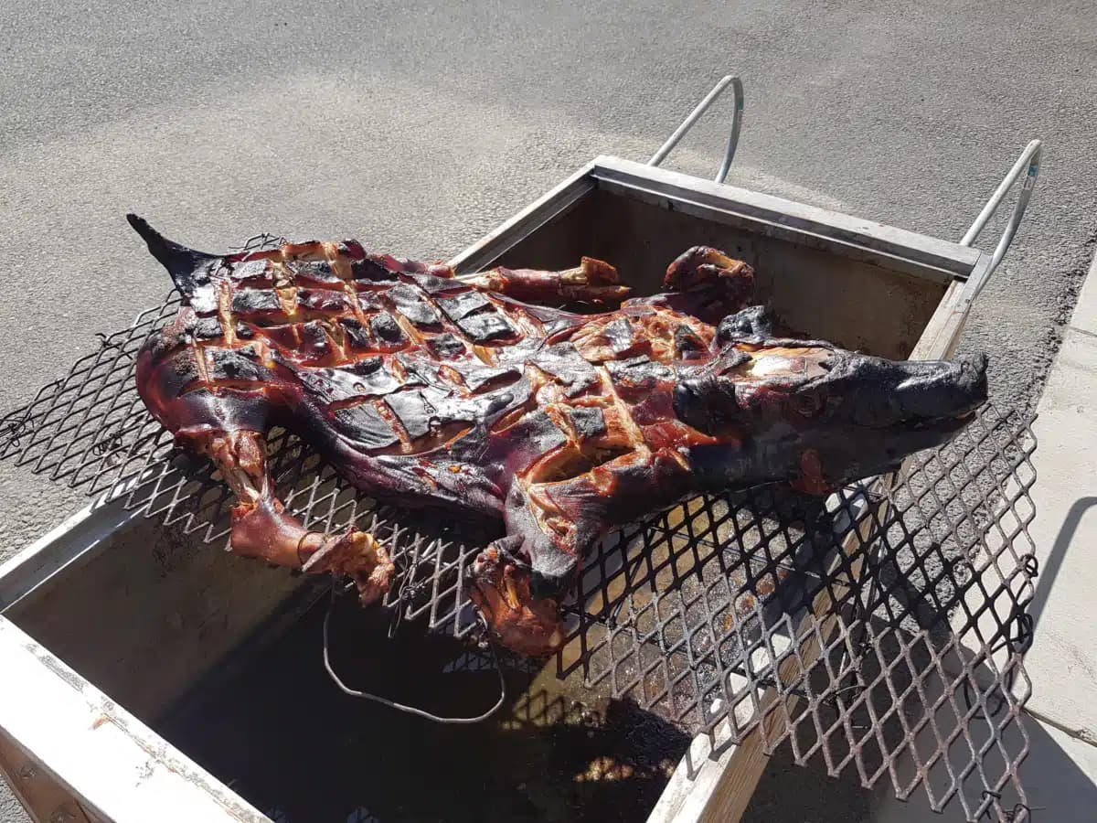 Copper River Native Association - Thumbnail 6