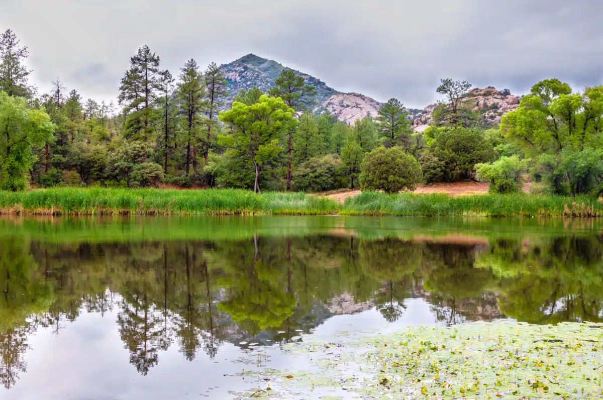 Decision Point Center Inc - Thumbnail 10