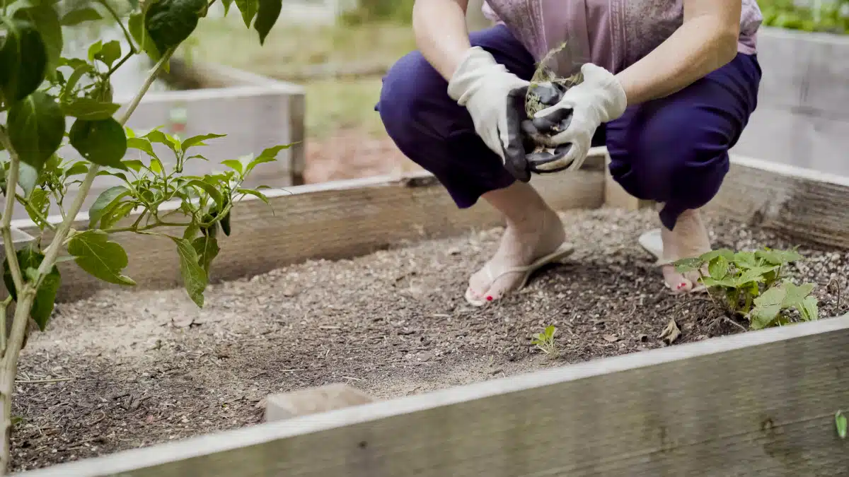 Discovery Point Retreat - Thumbnail 9