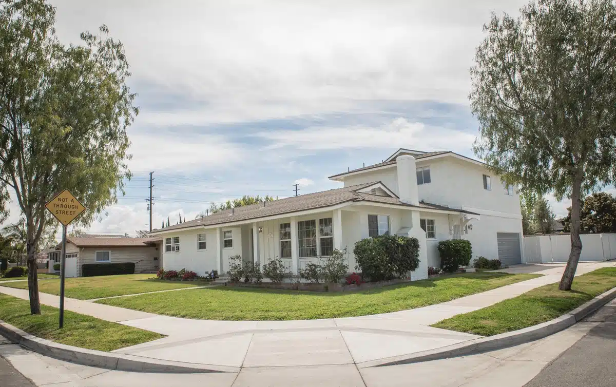 Divine Bliss - Thumbnail 6