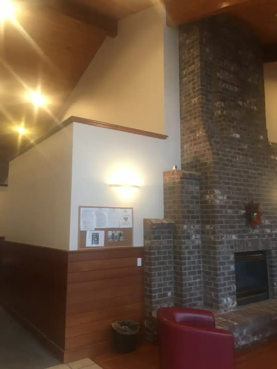 Dragonfly - Thumbnail 2