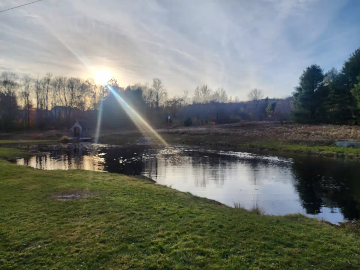 Dynamic Youth Community Inc - Thumbnail 4