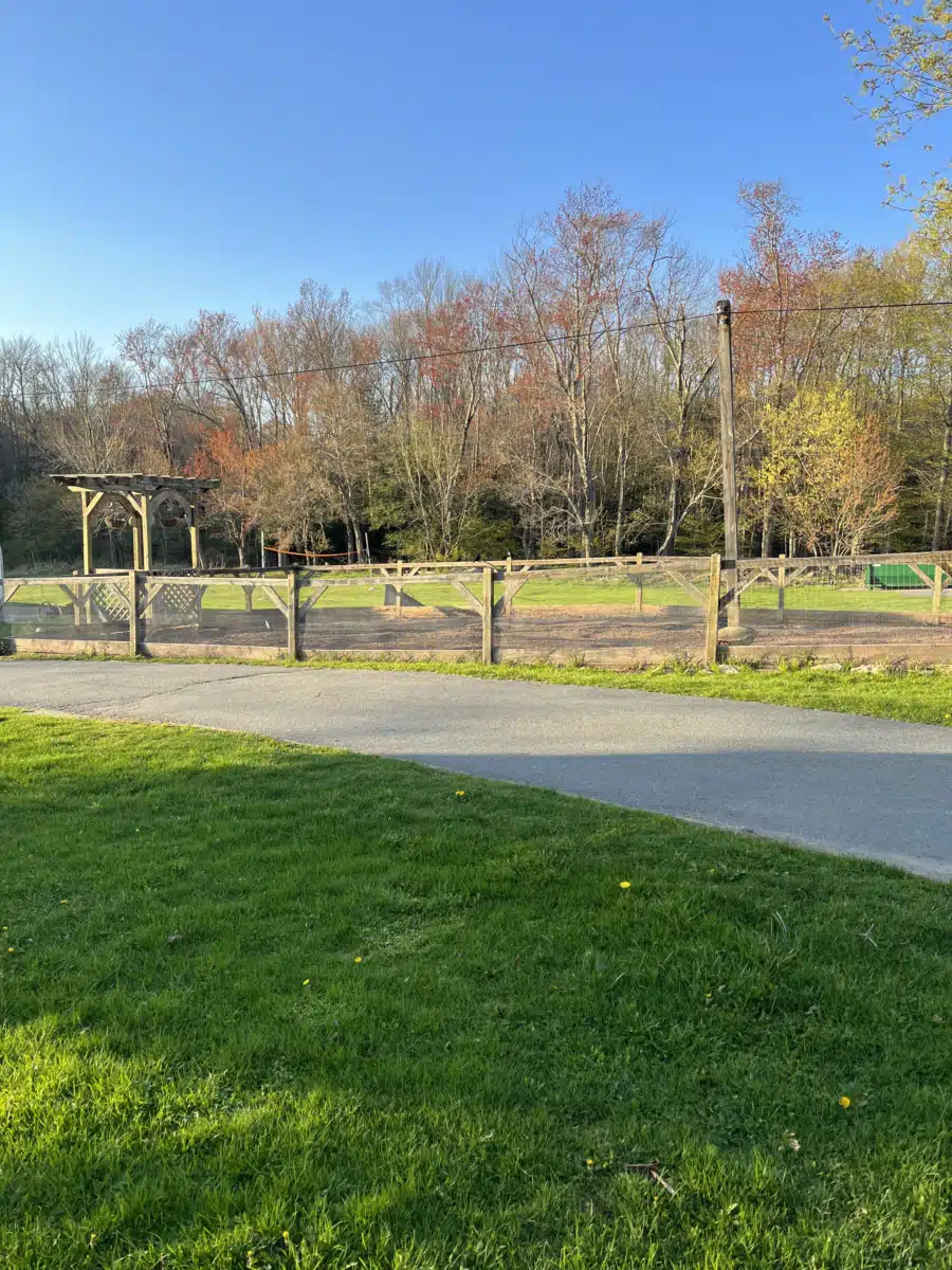 Dynamic Youth Community Inc - Thumbnail 9