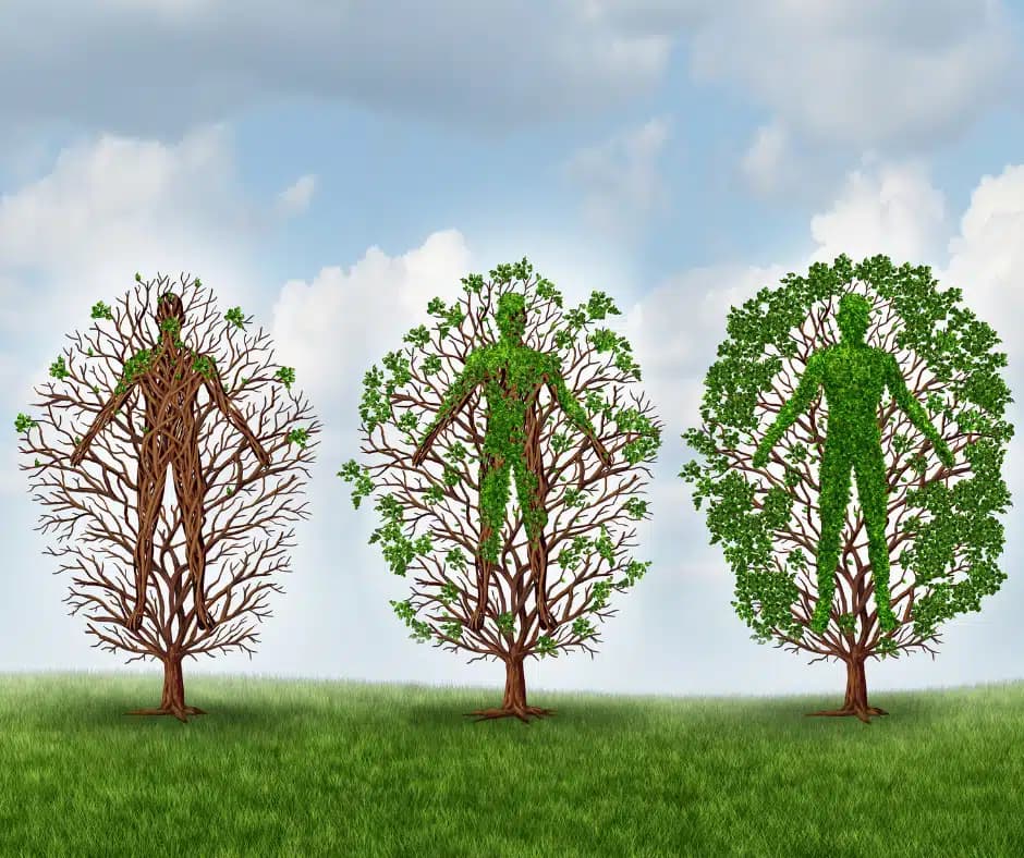 Eastern Shoshone Recovery Program - Thumbnail 3