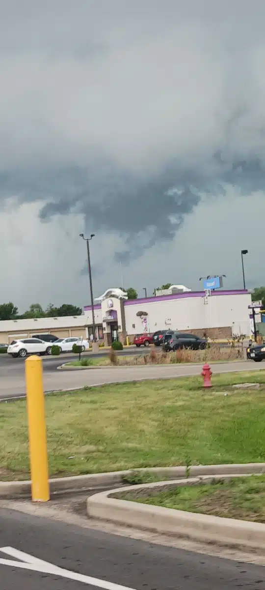 Egyptian Public and Mental Health Dept